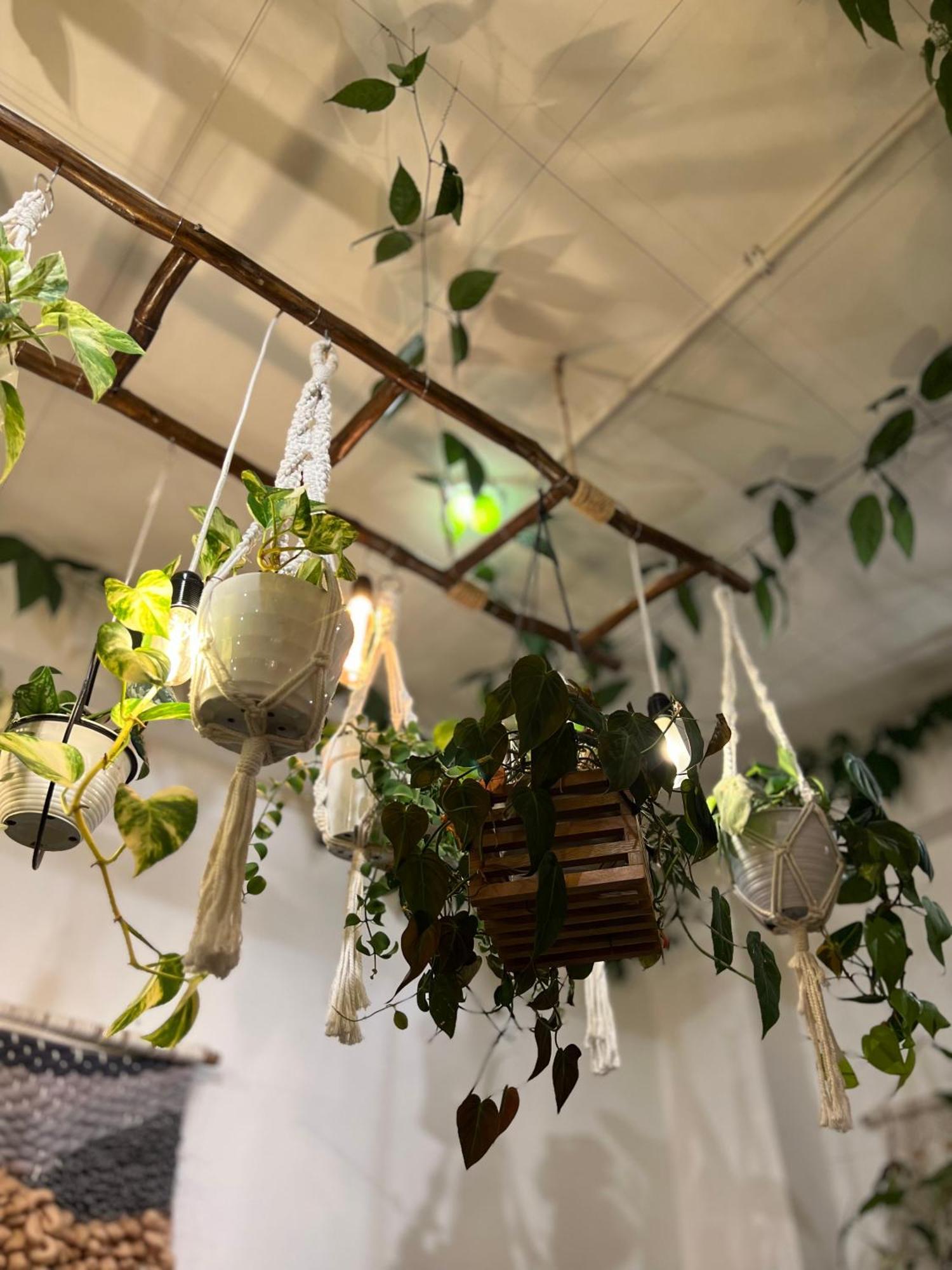 Toyapakeh Mambo Hill Resort מראה חיצוני תמונה